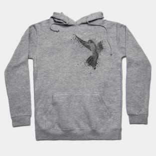 Hummingbird graphic Hoodie